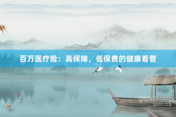 百万医疗险：高保障，低保费的健康看管