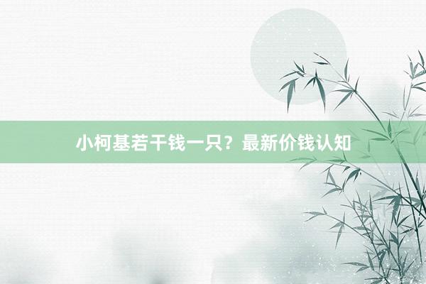 小柯基若干钱一只？最新价钱认知