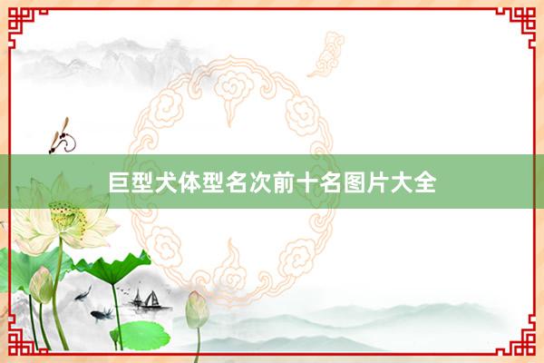 巨型犬体型名次前十名图片大全