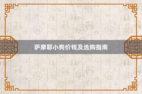 萨摩耶小狗价钱及选购指南